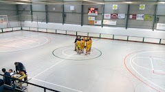 Fomento de deportes Tona