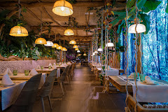 La Selva Barcelona | Còrsega