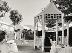 Restaurant El Lledoner