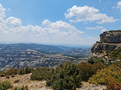 Zona de Pícnic Creu del Codó