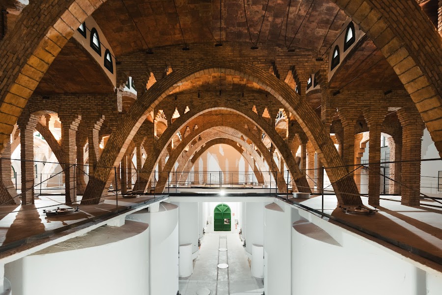 Bodega Cooperativa de Gandesa Visitas