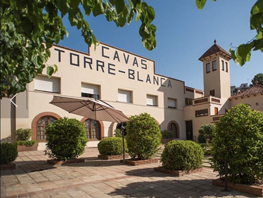 Cava Torre-blanca Llagrima D'or