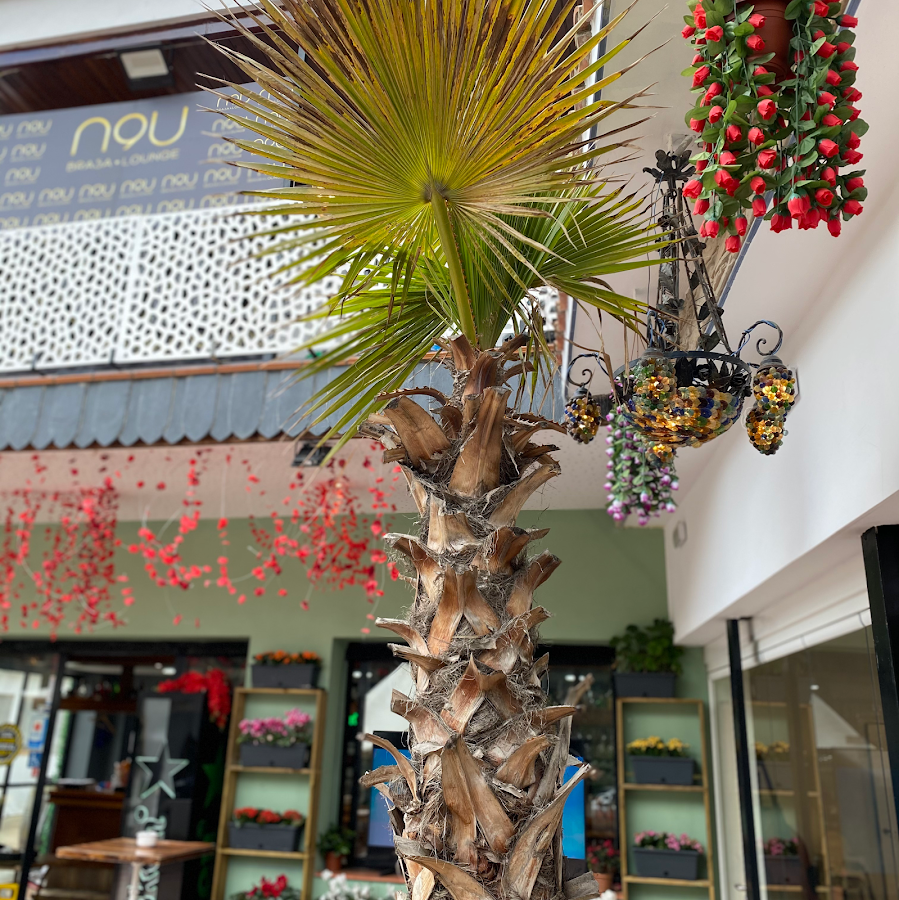 f9cs Restaurant