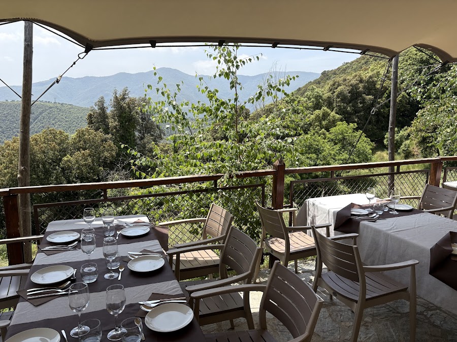 FORMATGERIA DEL MONTSENY: Productors d'ambit local destinats a la degustació dels productes de la propia explotació ramadera