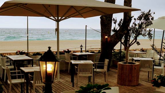 GINGER café